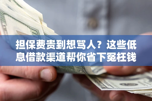 北京担保费贵到想骂人？这些低息借款渠道帮你省下冤枉钱