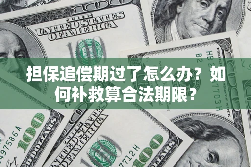 北京担保追偿期过了怎么办？如何补救算合法期限？