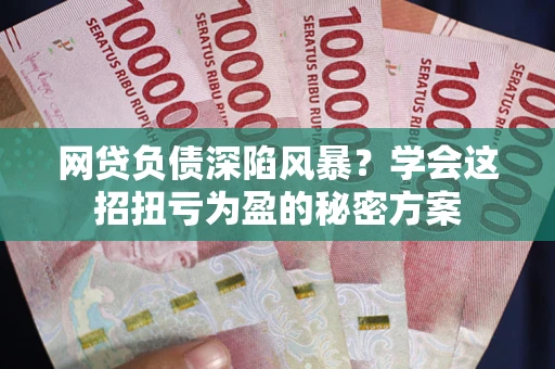 北京网贷负债深陷风暴？学会这招扭亏为盈的秘密方案